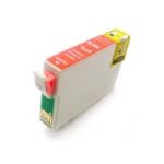 Epson Stylus Photo R1900 Orange Ink Replacement (T0879 / C13T087990)