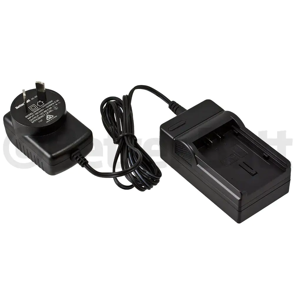 Panasonic VW-BC20 Charger Replacement (Wall + Car Cord)