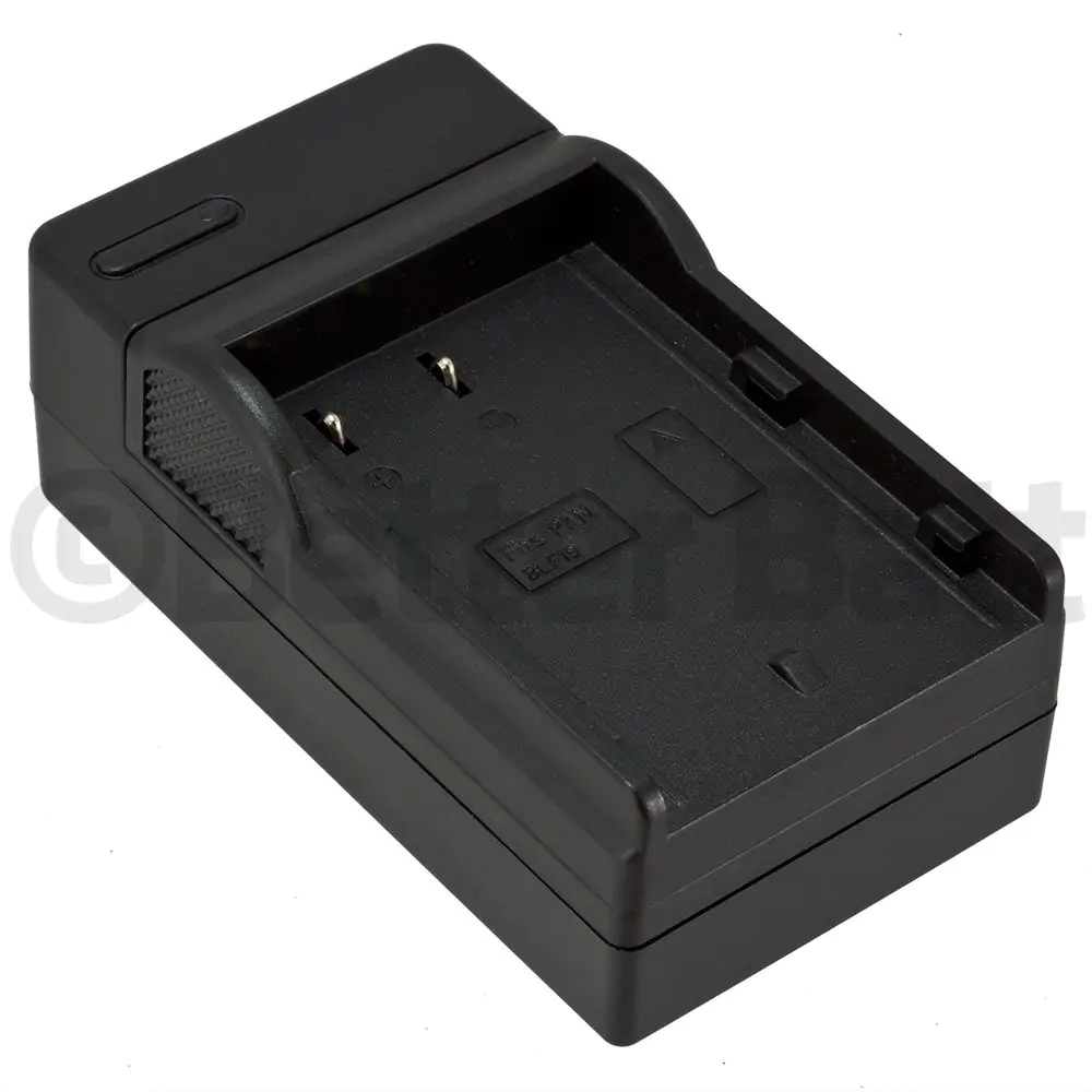 Panasonic DMW-BLF19 Charger Replacement (Wall + Car Cord)