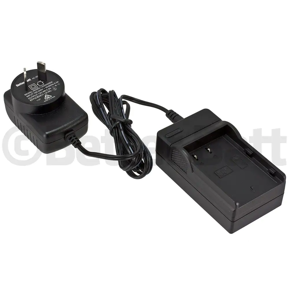 Panasonic DMW-BLF19 Charger Replacement (Wall + Car Cord)