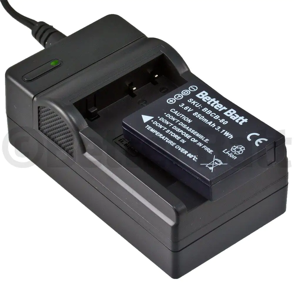 Panasonic DMW-BCG10PP Battery Replacement