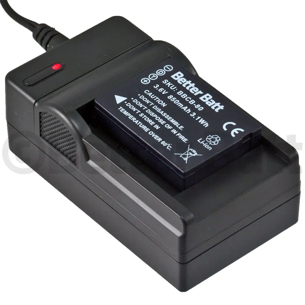 Panasonic DMW-BCG10PP Battery Replacement