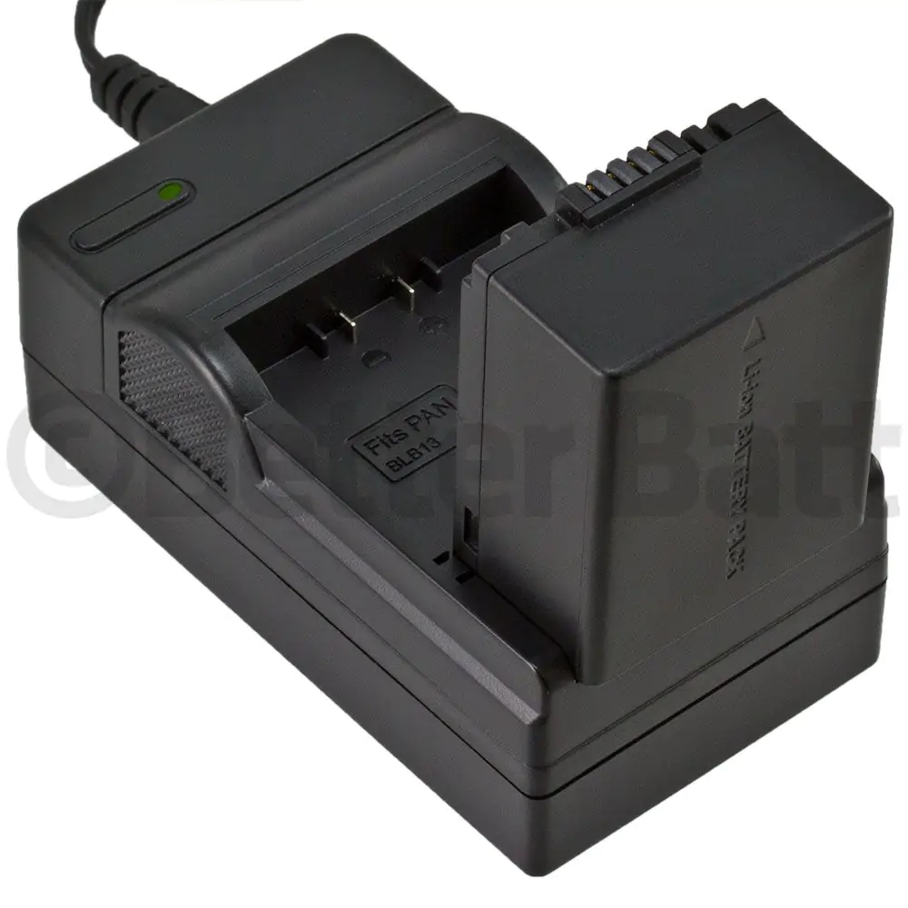 Panasonic DMW-BLB13 Battery Replacement