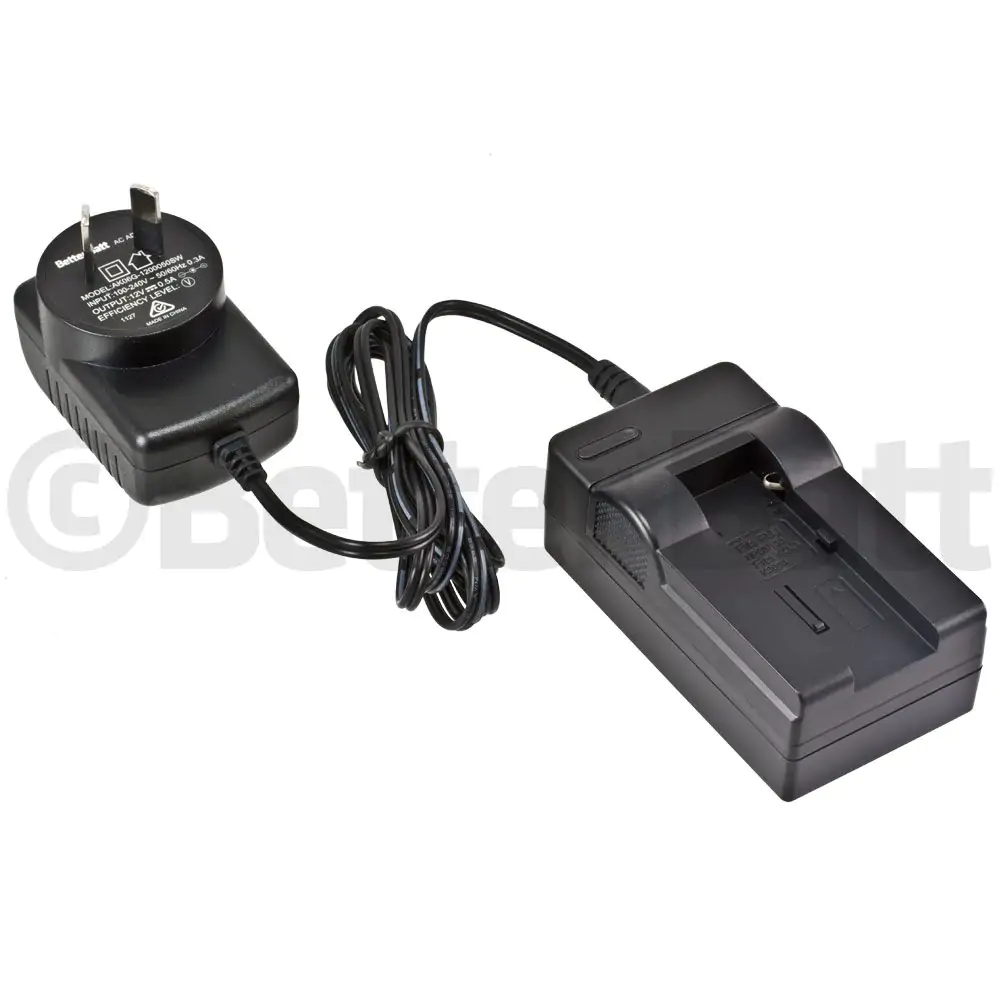 Ricoh DB-20L Charger Replacement (Wall + Car Cord)