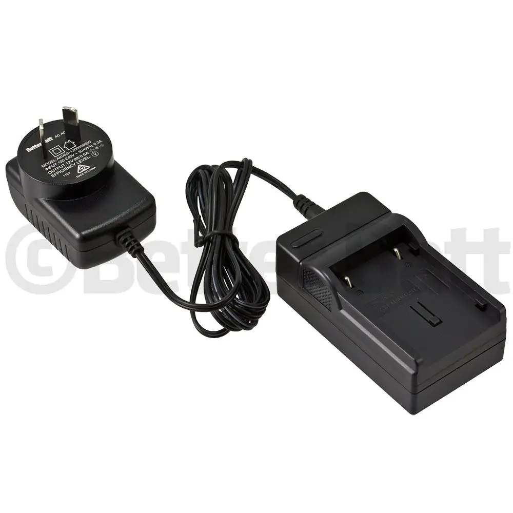 JVC BN-V408US Charger Replacement (Wall + Car Cord)