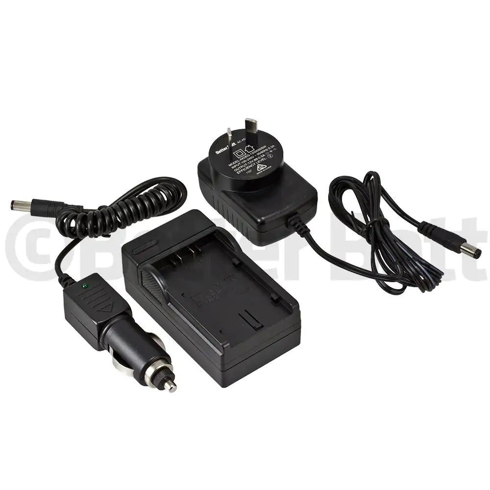Panasonic CGR-D110 Charger Replacement (Wall + Car Cord)
