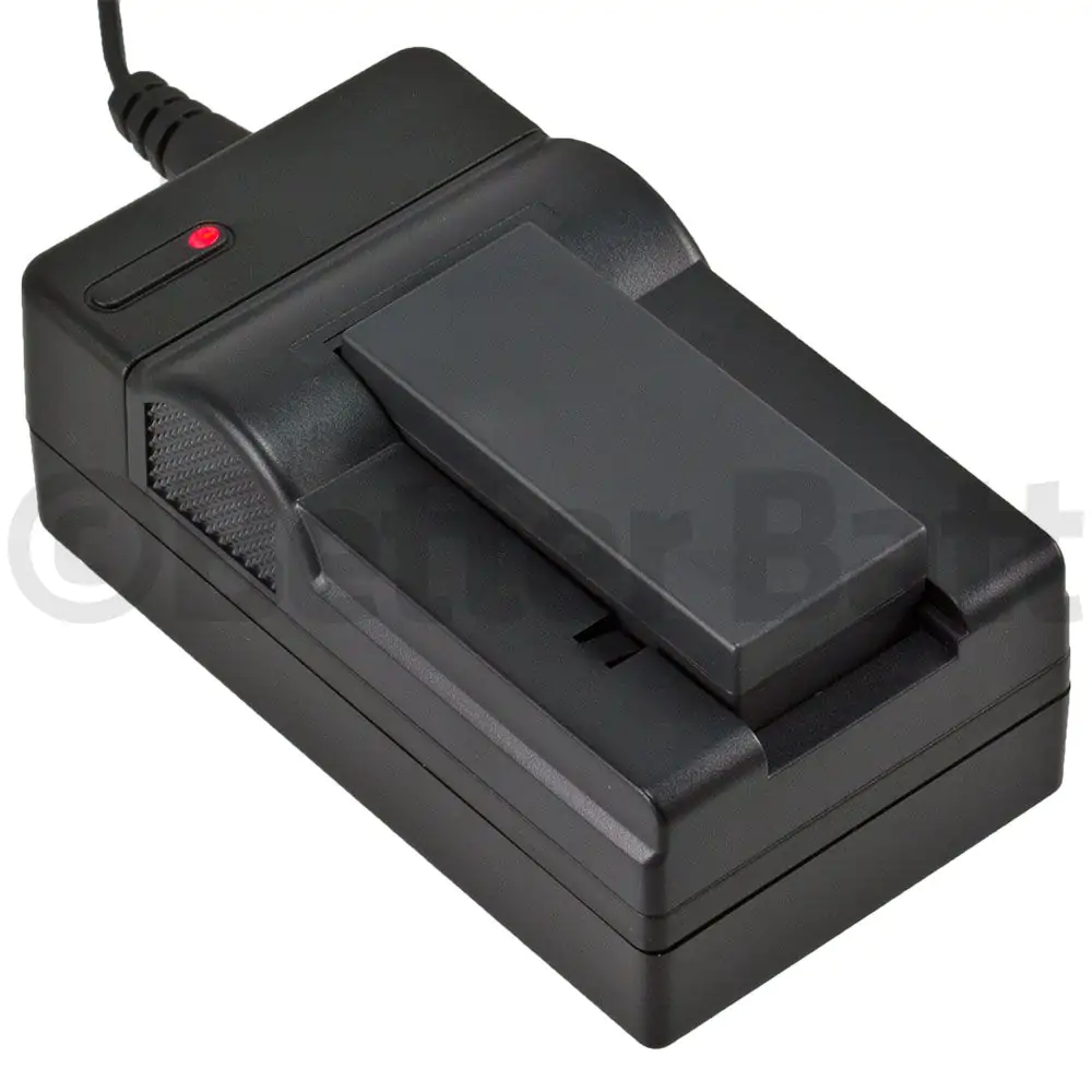 Sony Cyber-Shot DSC-P10E Battery Replacement