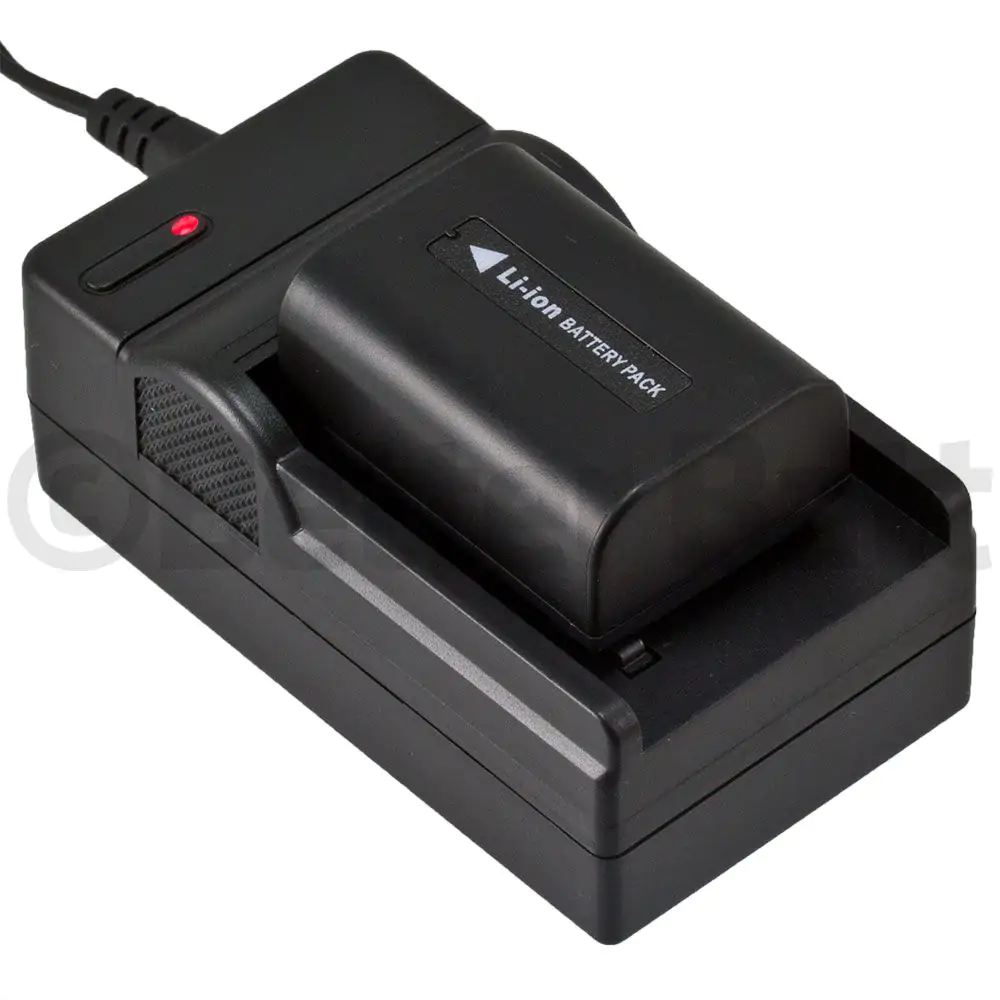 Sony NP-FV40 Battery Replacement