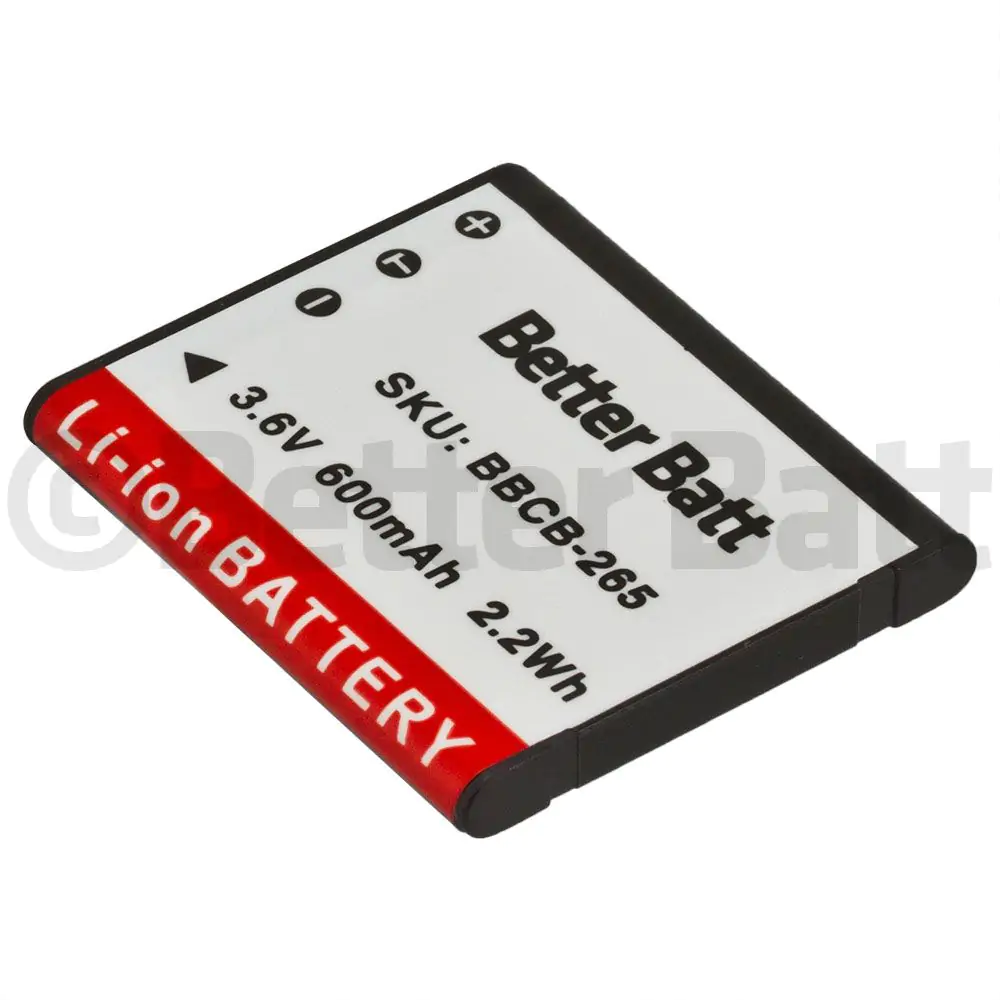 Casio Exilim Zoom EX-ZS12RD Battery Replacement