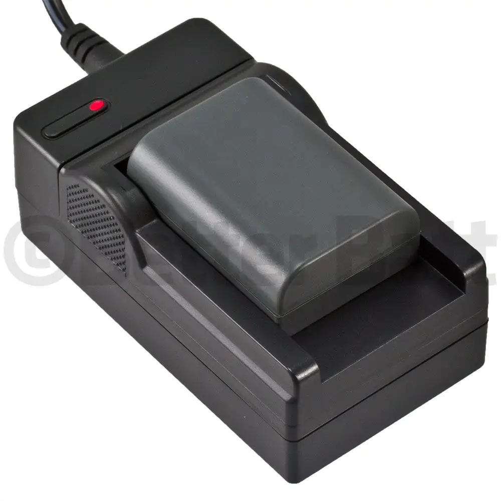 Canon LIC2L12 Battery Replacement